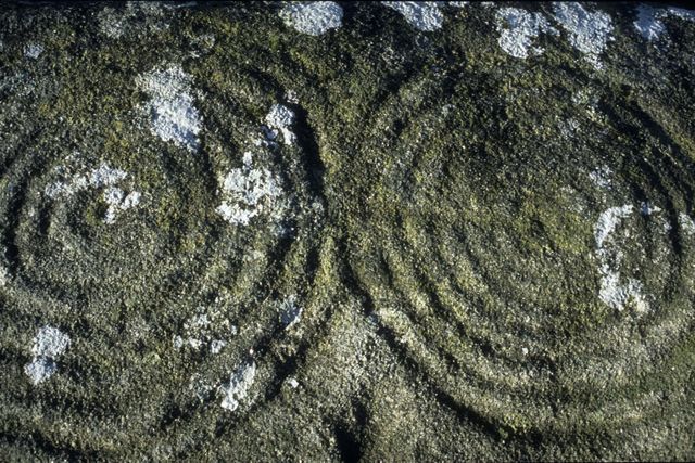 Jane W. Shackleton's Western Islands